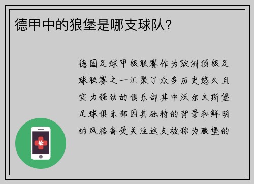 德甲中的狼堡是哪支球队？