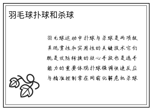 羽毛球扑球和杀球